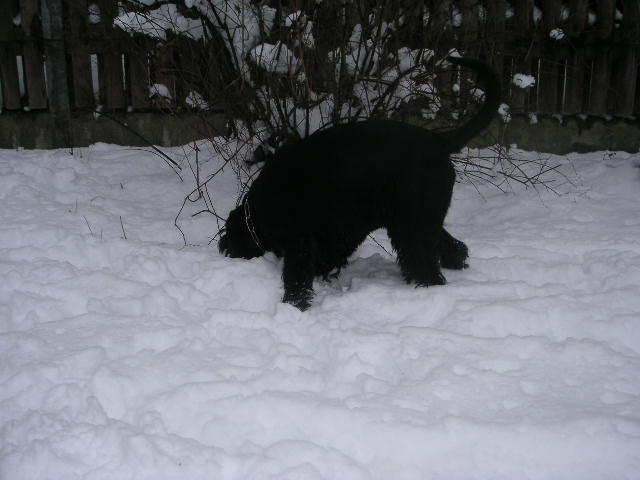 Bild 396.jpg